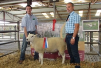 Roscommon Mart - September 2014